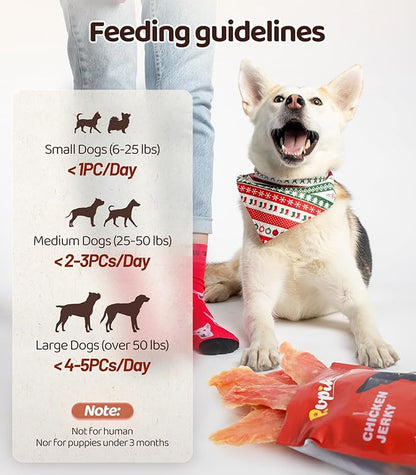 Chicken Jerky Dog Treats for Dogs 16 OZ 1LBS, Rawhide-Free, Made with Real Breast, Long-Lasting Treats, Dog Training Reward Snacks Dog Chewy Treats