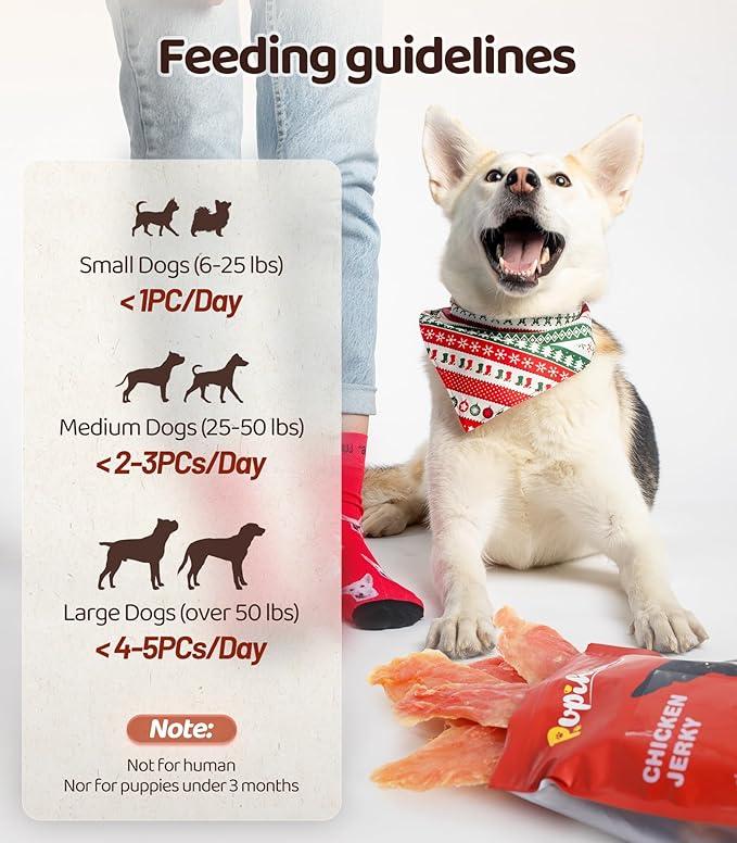 Chicken Jerky Dog Treats for Dogs 16 OZ 1LBS, Rawhide-Free, Made with Real Breast, Long-Lasting Treats, Dog Training Reward Snacks Dog Chewy Treats