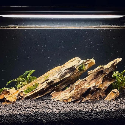 Dragon Rocks Aquariums Stones Natural Rocks for Aquascaping, Aquariums, Terrariums, Vivariums Decorative Stone,Reptile Enclosures,Paludariums,and Gardens-10LBï¼2 to 7 inchï¼