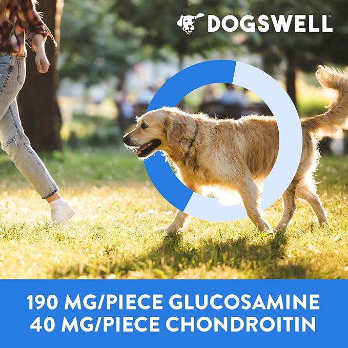 Dogswell Hip & Joint Chicken Soft & Chewy - 14 oz.