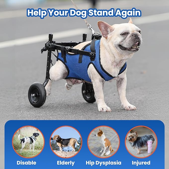 Dog Wheelchair for Back Legs, Dog Wheelchair for Small Dog, Adjustable Pets Cart with Wheels, Doggy Wheelchairs for Disabled Hind Legs, Dog Leg Brace and Hip Support, Medium