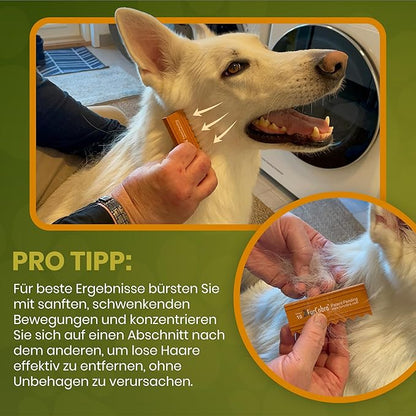 Direct 10 Pet Grooming Brush 3.54" - Gentle, No Metal Blades, Soft Dog, Cat Brush - Train Pets to be Brushed - Portable, Easy To Use Slicker Pet Grooming Tool for Dog, Cat, Puppy, Kitten Hair