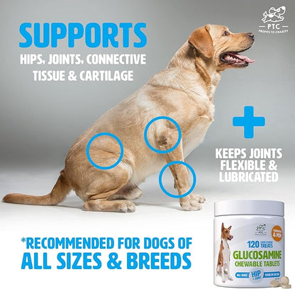 Glucosamine for Dogs with Chondroitin and MSM -Hip and Joint Supplement for Dog Mobility Support and Arthritis Pain Relief -120 Chewable Tablet Treats