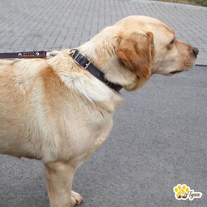 Adityna - Black Leather Dog Collar for Large Dogs - Classic Style, Soft and Strong, Heavy-Duty Top-Grain Leather Collar for Walking, Training, Hiking, and Running (L - Neck: 19-24 inches, Black)