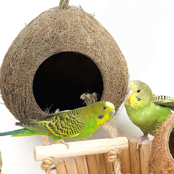 Bird Coconut Hides Nest with Ladder Parrot Cage Hanging Natural Coco Shell Hut Hide Toy with Wooden Bridge Hollow Hideaway Toys for Parakeet Lovebird Finch Canary 2PCS