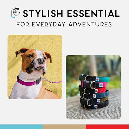 Dog Collar, Lightweight, Heavy Duty Dog Collar with Buckle, Fabric Pet Collar, Breathable & Adjustable Puppy Collar, Dog Collars for Small Dogs (Fuchsia, Small - 8-12 Inch) - Wildebeest