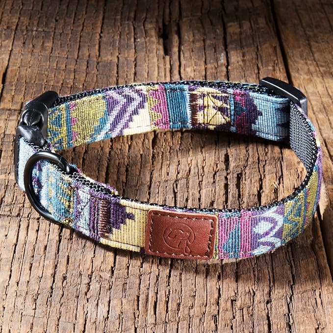 Embark Urban Dog Collar  Dog Collar Stylish & Durable Nylon Dog Collar for Large Dogs, Small Dogs & Medium Dogs.Comfortable Pet Collar Strong Buckles for Any Size Breed (Azure, Medium)