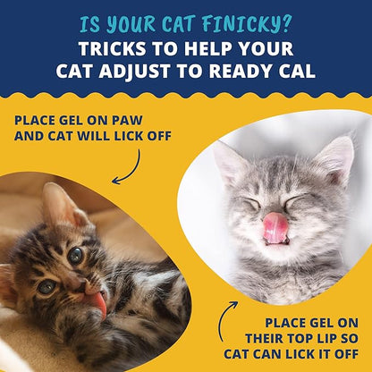 Under the Weather Pet | Ready Cal for Kitten | High Calorie Pet Nutritional Supplement for Weight Gain & Healthy Weight Maintenance | 10 Vitamins, 7 Minerals, Omega Fatty Acids & Carbohydrates | 80cc