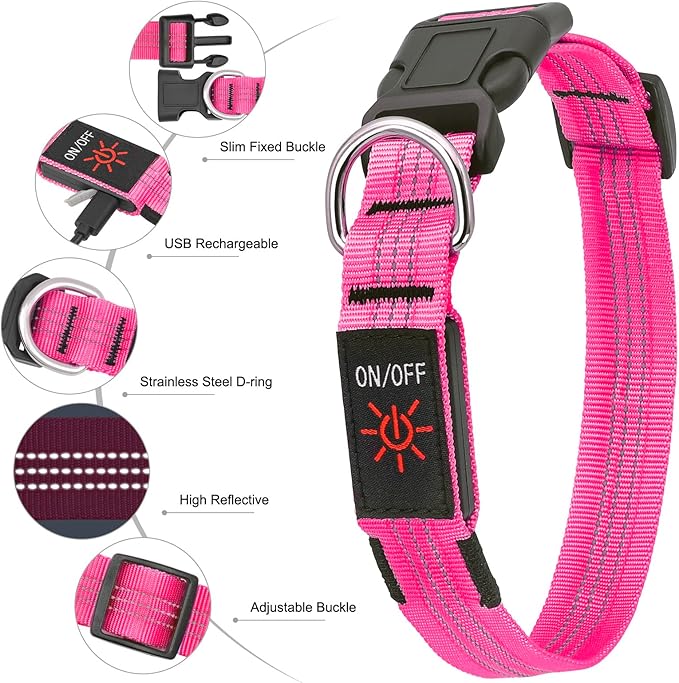 BSEEN Light Up Dog Collars - Glowing LED Dog Collar, Reflective Puppy Collar, Adjustable Lighted Dog Collar, Rechargeable Pet Collar for Night Walking (Pink-II, Large)