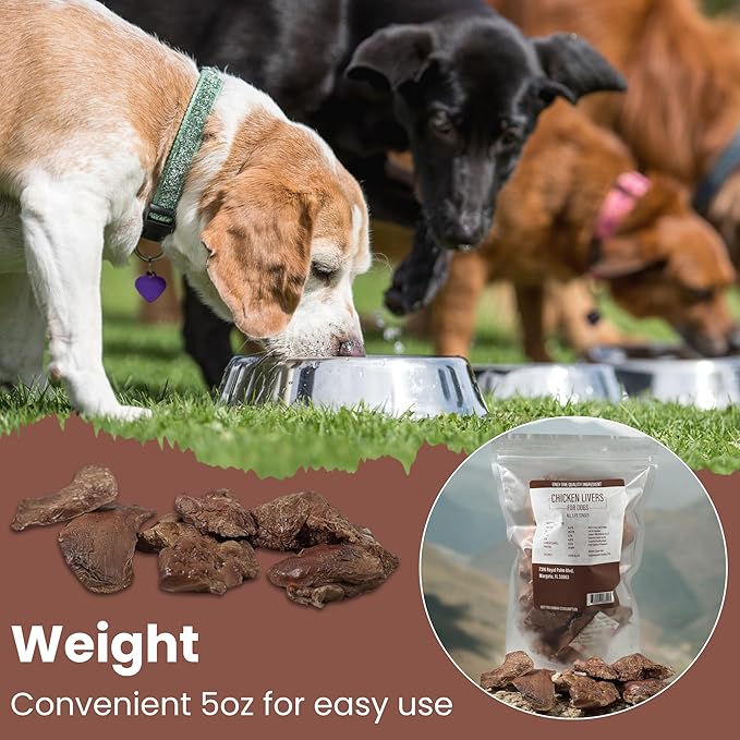 Freeze-Dried Raw Chicken Liver Dog Treats - High-Protein, Vitamin A & B12, Iron-Rich Meat Dog Treats - 100% Natural Dog Snacks - 5oz