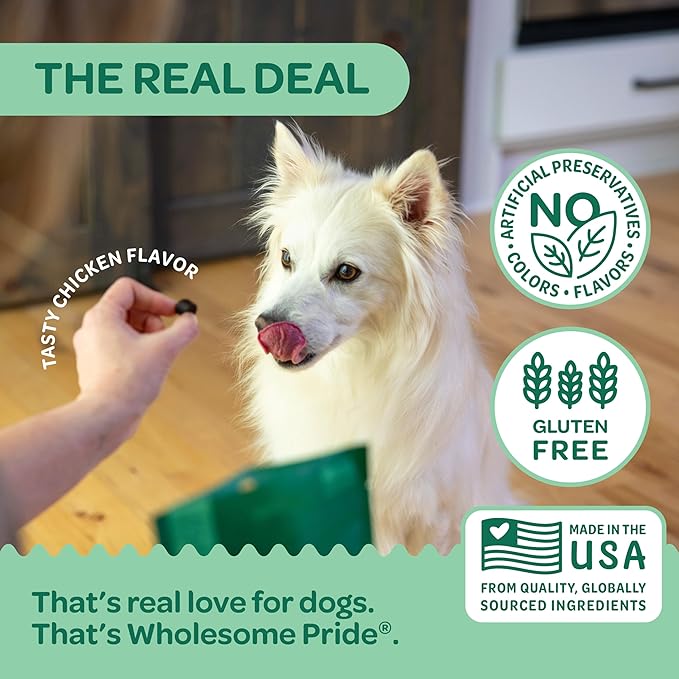 Wholesome Pride 9-in-1 Dog Multifunctional Soft Chews  Joint Pain Relief, Hip & Joint Support, Immune, Skin, Gut, Heart, Brain Health  Glucosamine, MSM, Chondroitin  90 Chews