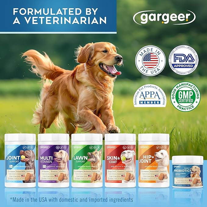 Advanced Hip & Joint Support Pro Supplement. Rich with Glucosamine, MSM & Green Lipped Mussel. For All Dog Breeds & Ages. 60 Duck Flavored Chews for Enhanced Mobility. Made in the USA, Enjoy !