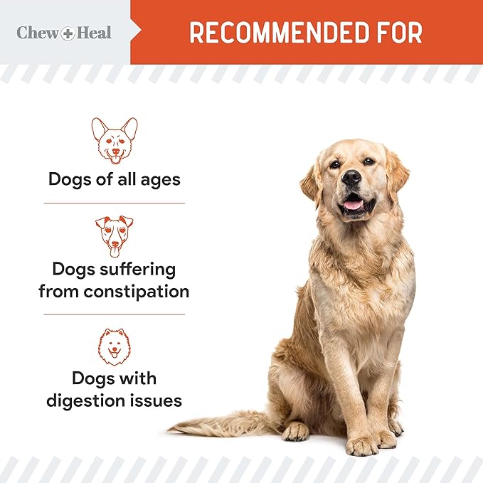 Organic Pumpkin Powder for Dogs - 4 oz w/ 5cc Scoop - Digestive Support & Fiber for Dogs - Natural Dog Food Additive for Dog Constipation Relief & Pumpkin Puree Substitute