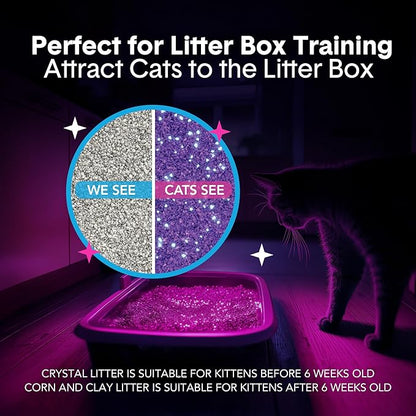 Boxie Glo Clumping Clay 30 Day Odor Control Cat Litter, 99.9% Dust-Free, Low Tracking, UV Light Attractant, 16 lb