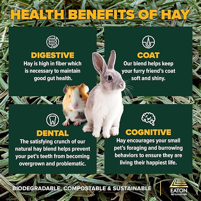 Eaton Pet and Pasture Naturally Grown, Premium, 1st Cut Blend, Western Timothy Hay Orchard Blend, Small Animal Food, Sustainable, Eco-Friendly, Farmer-Owned, 6LB-Box.