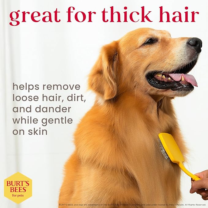 Burt_ Bees for Pets Large Slicker Brush for Dogs with Thick or Curly Hair with Handle Made from Recycled Plastics Collected from Coastal Communities | De-Shedding Dog Brush Removes Knots and Matting
