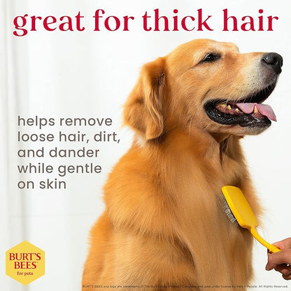 Burt_ Bees for Pets Large Slicker Brush for Dogs with Thick or Curly Hair with Handle Made from Recycled Plastics Collected from Coastal Communities | De-Shedding Dog Brush Removes Knots and Matting