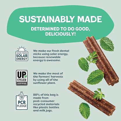 Shameless Pets Dental Chews for Dogs, Mighty Mint Minis, Healthy Treats for Teeth Cleaning & Fresh Breath - Free from Grain, Corn, & Soy for Small Dogs