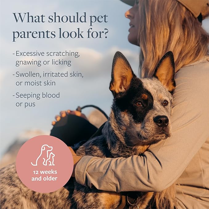 Veterinary Formula Clinical Care Hot Spot & Itch Relief Medicated Spray, 8oz  Easy to Use Spray for Dogs & Cats  Helps Alleviate Sensitive Skin, Scratching, and Licking of Coat (1 Pack)