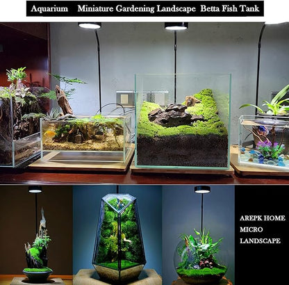 Aquarium Light Full Spectrum LED, for Under 3 Gallon Fish Tank, Light with Timer Auto On/Off, Betta Fish Tank,Indoor Plant Growth, Potted Plants, Succulent, Miniature Gardening Landscape (5)