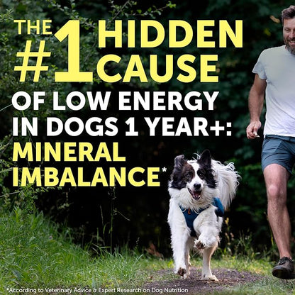 Nature's Protection Dog Joint Supplement - Mineral Powder Supplement for Pet Muscle Recovery, Stronger Bones, Immune & Gut Health for Dogs & Cats of All Breeds, 9 Oz