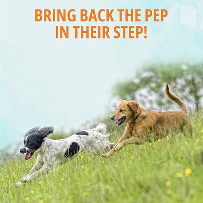 NOVEHA Dog Glucosamine Chews | Hip and Joint MSM Formula for Dogs Joint Care | Senior Pet Joint Health Supplement | Premium Glucosamine and Chondroitin for All Breeds | 90 Soft Chews; Chicken Flavor