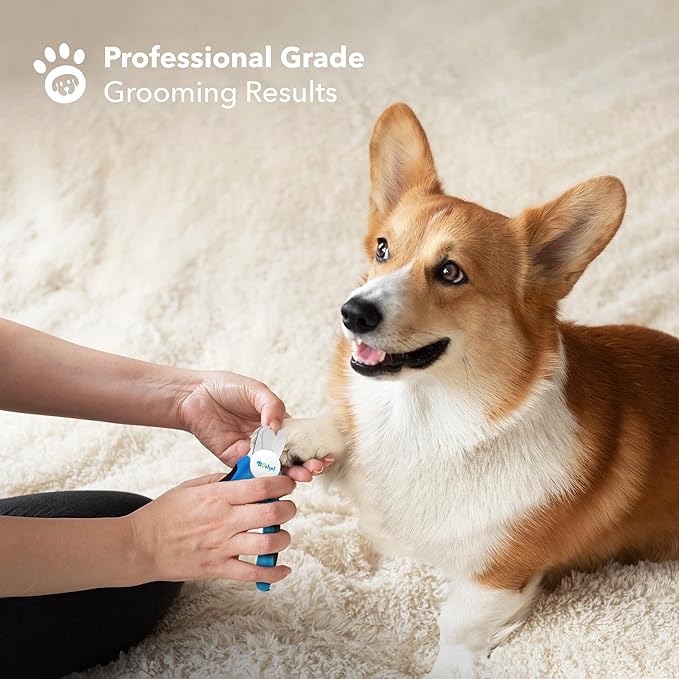 BOSHEL LED Large Dog Nail Clippers, Dog Nail Trimmers for Large Breed with Quick Sensor, Dogs Trimmer with Light & Safety Guard, Sharp Pet Nails Clipper, Pet Claw Clippers, Pets Toenail Cutter & File