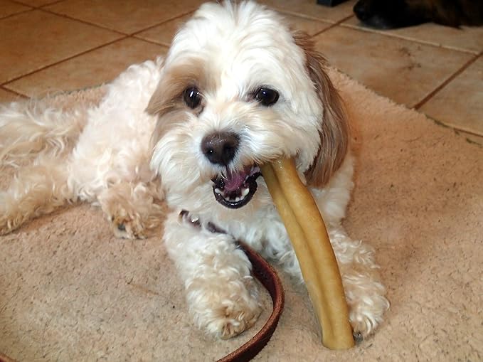 Yak Snak Dog Chews - All Natural Hard Cheese Himalayan Dog Treats - Long Lasting Dog Chews, Made from Yak Milk, Small, Medium, Large & Extra Large Sizes (Medium 4-Pack)