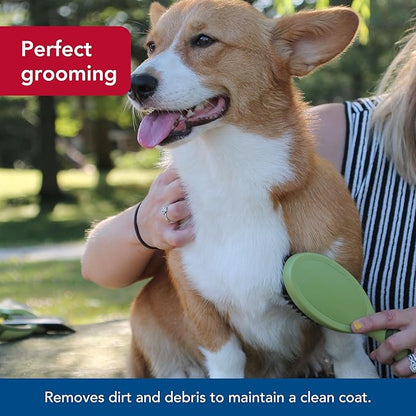 Coastal Pet - Safari - Bristle Dog Brush, Brush, Large (9" L x 2.625" W)