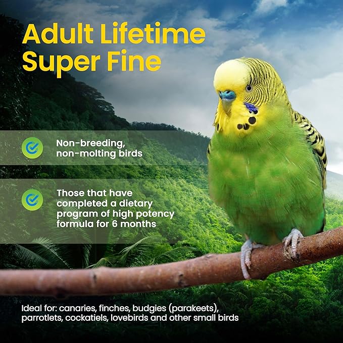 Harrison's Bird Foods Adult Lifetime Certified Organic Non-GMO Formula Small Bird Food 1lb