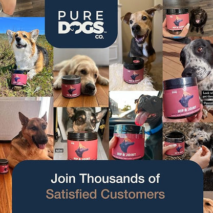 Pure Dogs Hip & Joint Dog Chews - Glucosamine Chondroitin & Green Lipped Mussel for Joint Pain Relief, Function & Mobility, Gut & Digestive Support - for Large & Small Breeds - 90 Chews