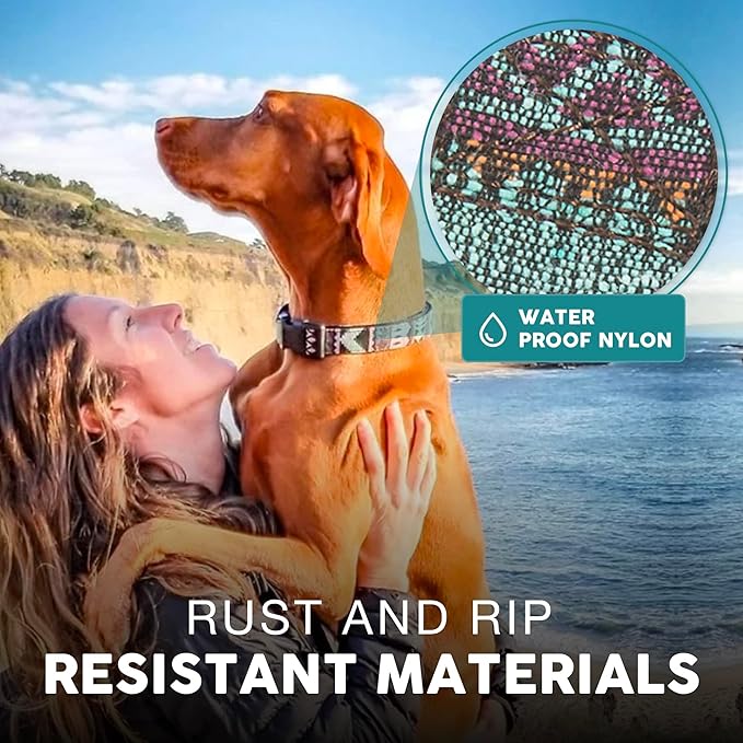 Embark Urban Dog Collar  Dog Collar Stylish & Durable Nylon Dog Collar for Large Dogs, Small Dogs & Medium Dogs.Comfortable Pet Collar Strong Buckles for Any Size Breed (Aztec, Small)