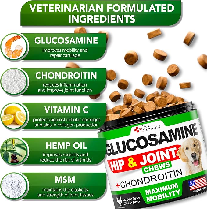 Vet Promise Glucosamine for Dogs - Hip and Joint Supplement for Dogs - Glucosamine Chondroitin - Joint Pain Relief Pills - MSM - Advanced Health Support Supplement - 170 Mobility Chews - Made in USA