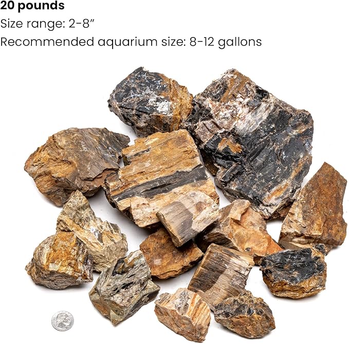SubstrateSource Natural Stone for Aquarium, Terrarium, Paludarium, Reptile Enclosures - Set of Decorative Rocks for Landcapes, Aquascaping, Fish Tank Decor (Petrified Wood Stone, 20 Pounds, 2-7")