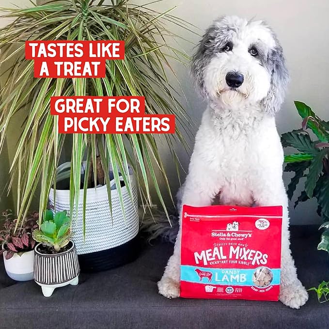 Stella & Chewy's Freeze Dried Raw Dandy Lamb Meal Mixer  Dog Food Topper for Small & Large Breeds  Grain Free, Protein Rich Recipe  3.5 oz Bag
