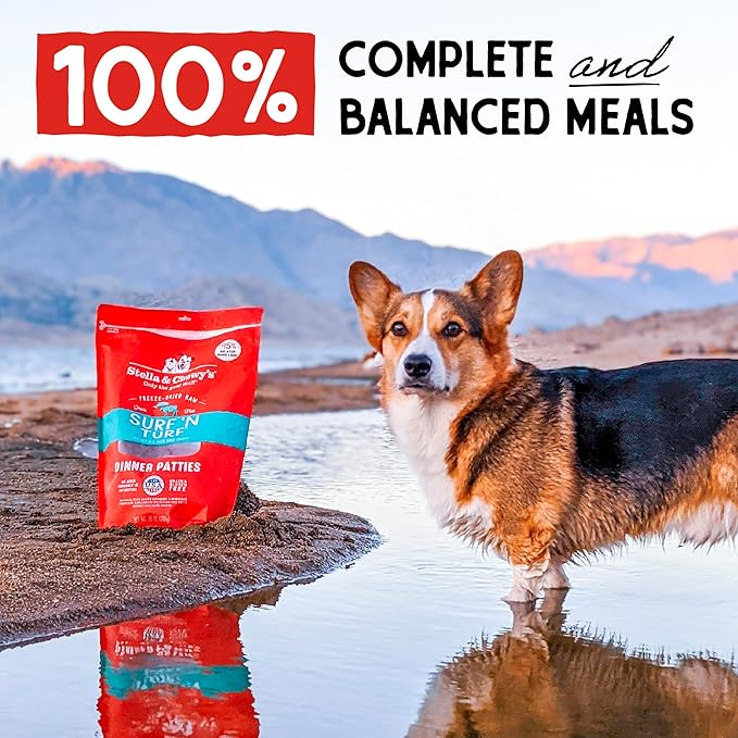 Stella & Chewy's Freeze Dried Raw Dinner Patties  Grain Free Dog Food, Protein Rich Surf _ Turf Salmon & Beef Recipe  14 oz Bag
