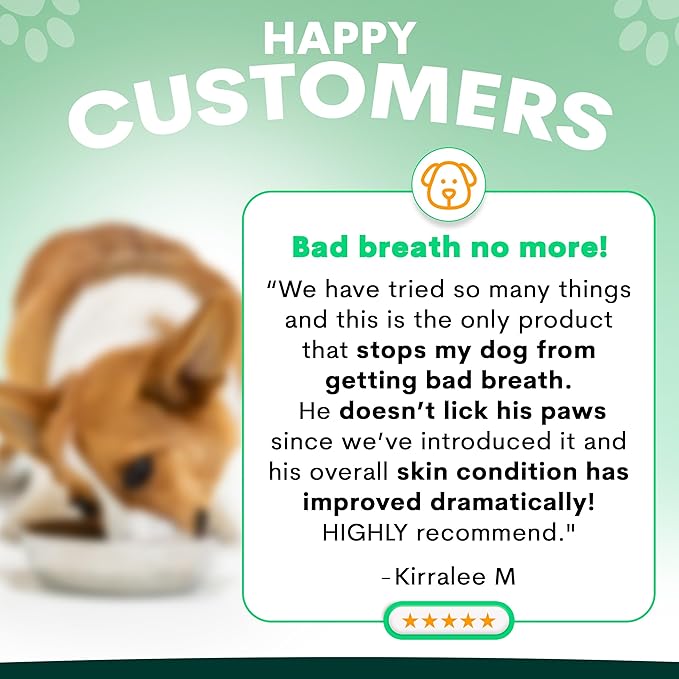 Probiotic for Dogs - Grain-Free Digestive Support Powder for Diarrhea, Bloating & Gas - Promotes Immune Support & Oral Health - Reduces Paw Licking, Allergies & Yeast Infections - 2.7 oz - 45 Scoops