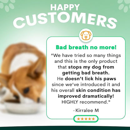 Probiotic for Dogs - Grain-Free Digestive Support Powder for Diarrhea, Bloating & Gas - Promotes Immune Support & Oral Health - Reduces Paw Licking, Allergies & Yeast Infections - 2.7 oz - 45 Scoops