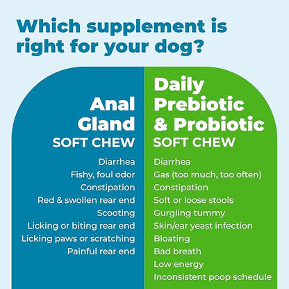 Vetnique Glandex Daily Probiotics for Dogs with Prebiotics to Support Gut Health with Fiber and Digestive Enzymes, Probiotic Chews or Powders (120ct Chews, Bacon Chews)