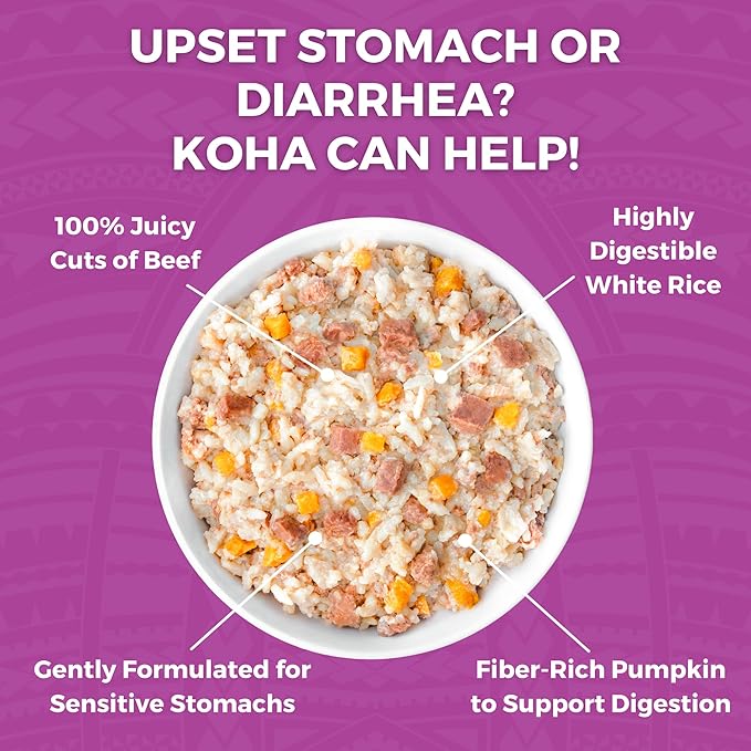 KOHA Limited Ingredient Bland Diet for Dogs, Beef and White Rice Recipe Sensitive Stomach Wet Dog Food, Gentle Formula Easy to Digest Bland Diet Dog Food, Pack of 6