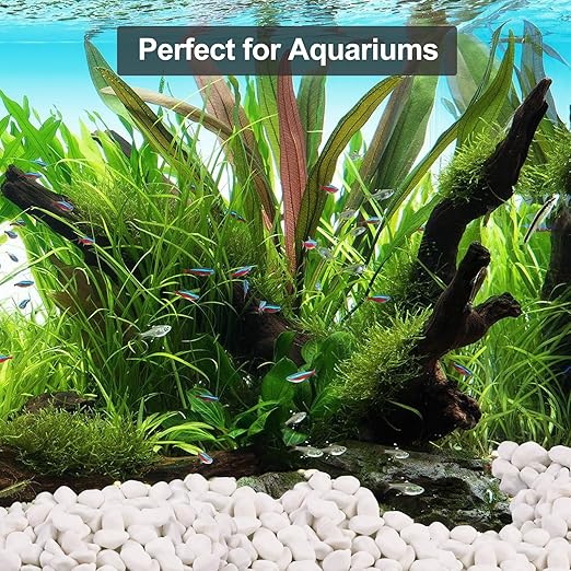 20Ib Snow White River Rock- Decorative Pebbles for Plants - River Rocks Outdoor Landscaping- 0.3"-0.8" inch Polished Stones for Aquarium, Home Decor,Garden Decor