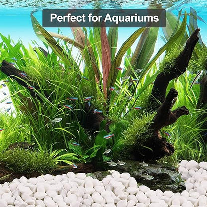 20Ib Snow White River Rock- Decorative Pebbles for Plants - River Rocks Outdoor Landscaping- 0.3"-0.8" inch Polished Stones for Aquarium, Home Decor,Garden Decor