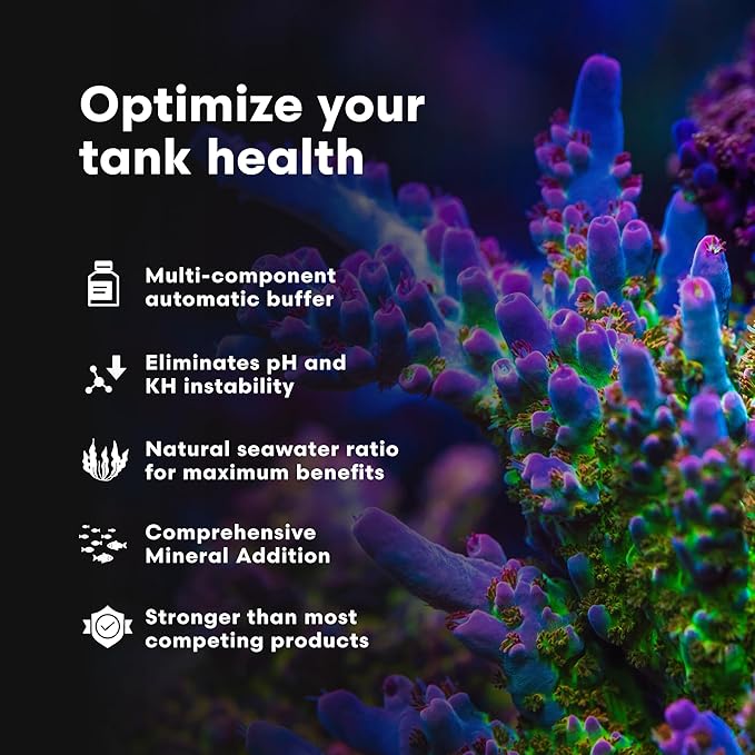 Brightwell Aquatics - Reef Code B - Balanced Calcium & Alkalinity System Water Conditioner - For All Saltwater Marine Fish & Reef Fish Tanks - Aquarium Water Treatments, 67.6 fl oz
