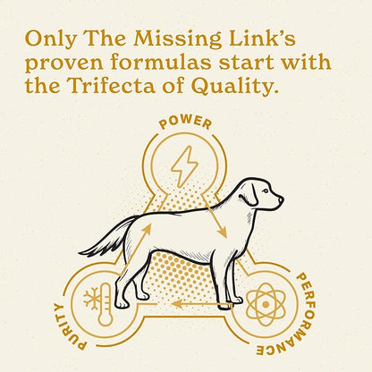 The Missing Link Skin & Coat + Probiotics Supplement 1lb Bag - Powerful Superfood Powder for Dogs Supports Healthy Skin & Glossy Coat, Promotes Hair Growth