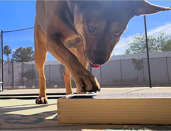 Dog Scratch Pad Nails Grinder Trimmers Clipper Board Paw Alternative pet Claw cat k9 Sanding Removal Emery File Treat Box Compartment Removeable lid (Scratch Box Kit)