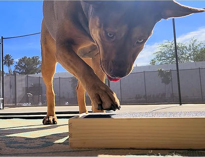 Dog Scratch Pad Nails Grinder Trimmers Clipper Board Paw Alternative pet Claw cat k9 Sanding Removal Emery File Treat Box Compartment Removeable lid (Scratch Box Kit)