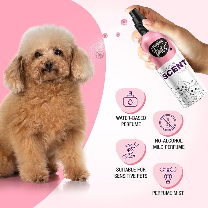 Wagging Tails 5-in-1 Baby Fresh Scent for Dogs & Cats, 6.7 fl oz | Alcohol-Free Pet Spray | Sensitive Skin Friendly & Deep Moisture Formula | Long-Lasting Scent, Non-Toxic | Suitable for All Breeds