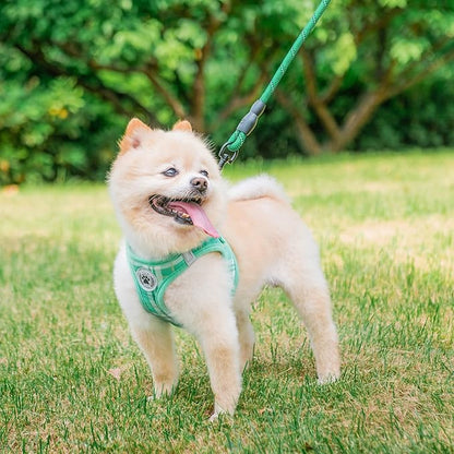 BEAUTYZOO Small Dog Harness and Leash Set,Step in No Chock No Pull Soft Mesh Dog Harnesses Reflective for Extra-Small/Small Medium Puppy Dogs and Cats, Plaid Dog Vest Harness for XS S Pets, Teal S
