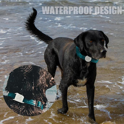 2 Pcs Clear Anti Lost Silicone Protective Case Compatible with Airtag for Dog Cat Pet Collar