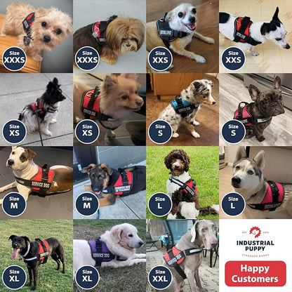 Emotional Support Dog Vest Harness with Reflective Straps, Interchangeable Patches, & Top Handle - ESA Dog Vest in 8 Sizes - Heavy Duty Emotional Support Dog Harness for Working Dogs (Red, XS)